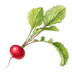 Imagen PNG para descargar